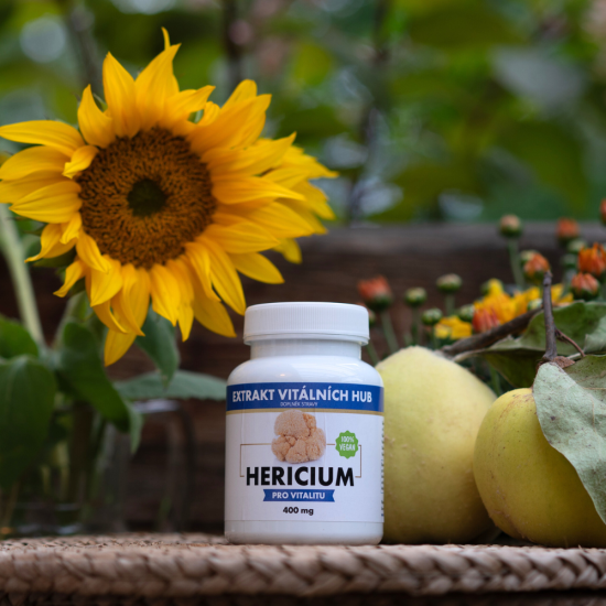 Hericium, Lví hříva min.30% polysacharidů