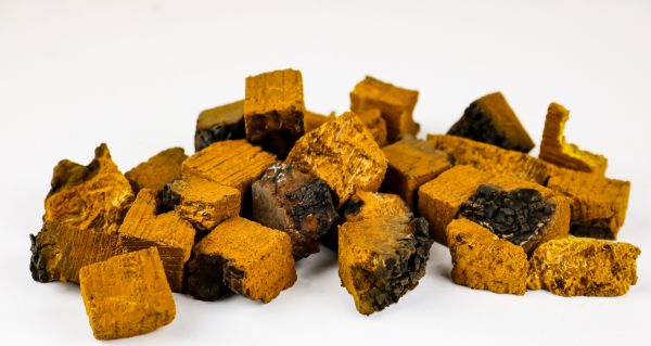Chaga nežádoucí účinky: na co si dát pozor