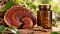 Reishi extrakt 50/20: jak číst údaje na etiketě