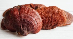 Reishi a adaptogeny: praktický průvodce