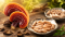 Reishi extrakt: praktický průvodce výběrem a užíváním