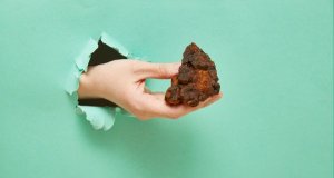 Chaga studie: co skutečně říká výzkum o rezavci šikmém