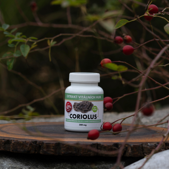 Coriolus 50 % - Outkovka pestrá min.50% polysacharidů a 20% β-1,3/1,6 D-glukanů