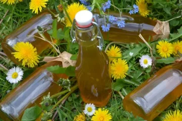 Tajemství babiččiny spížky: Domácí pampeliškový sirup z pouhých čtyř surovin