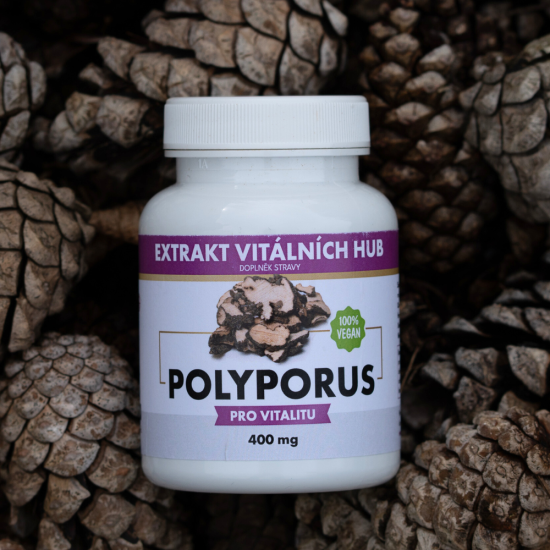 Polyporus - Choroš oříš min.30% polysacharidů