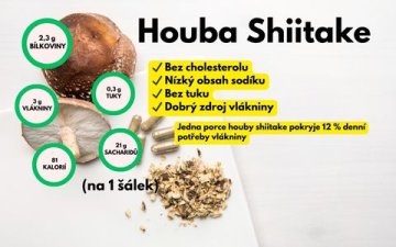 Shiitake dieta: Překvapivě účinná cesta, jak zhubnout, posílit imunitu a nepřijít o energii