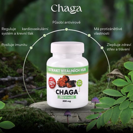 Chaga 50% - Rezavec šikmý  min.50% polysacharidů a 20% Beta glukanů