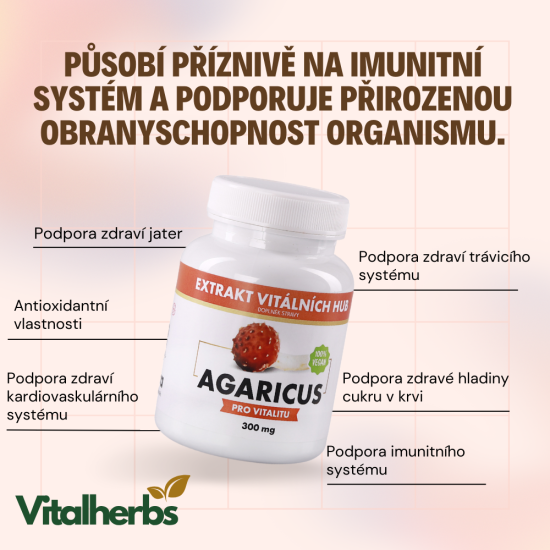 Agaricus  - Žampion mandlový min.30% polysacharidů
