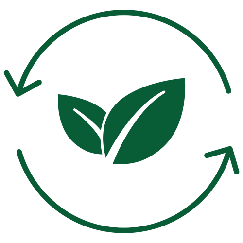 Detoxikace