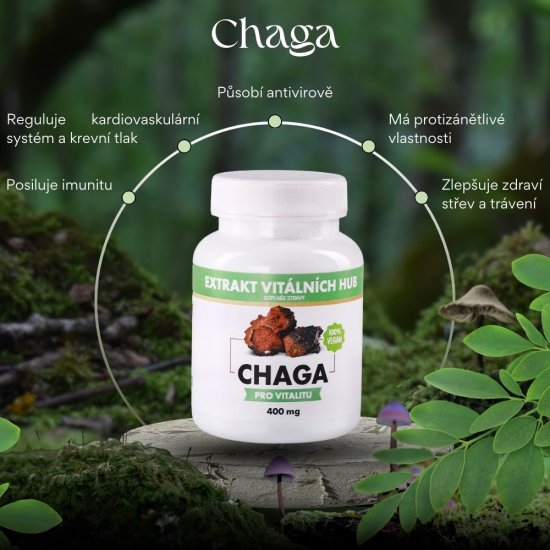 Chaga - Rezavec šikmý 360 kapslí 2 + 1 ZDARMA
