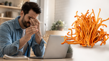 Cordyceps a únava: jak ho zařadit do denní rutiny