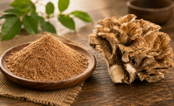 Maitake extrakt: praktický průvodce výběrem a užíváním