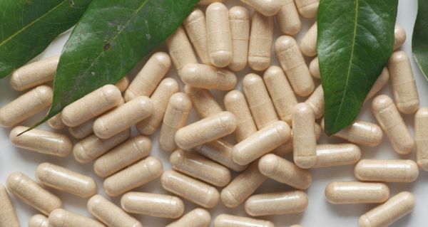 Jak vybrat Cordyceps extrakt