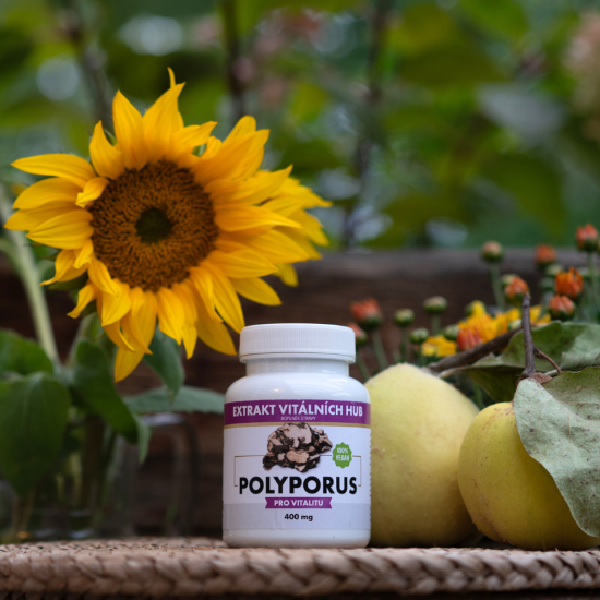 Polyporus - Choroš oříš min.30% polysacharidů