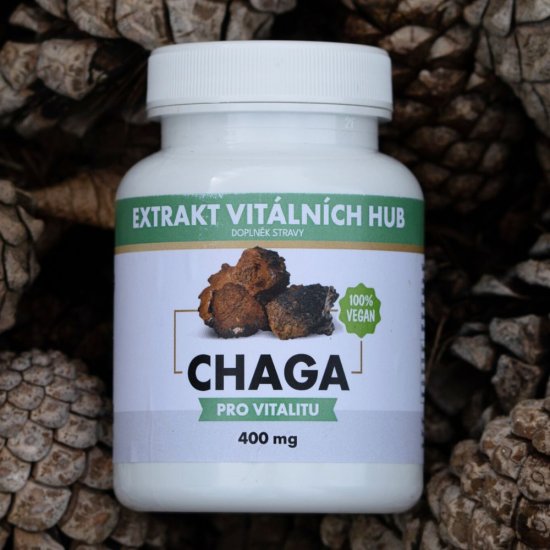 Chaga - Rezavec šikmý min.30% polysacharidů a 4% triterpenů