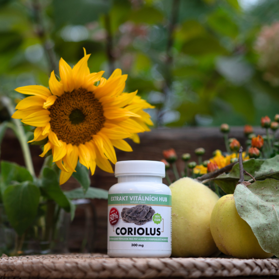 Coriolus 50 % - Outkovka pestrá min.50% polysacharidů a 20% β-1,3/1,6 D-glukanů