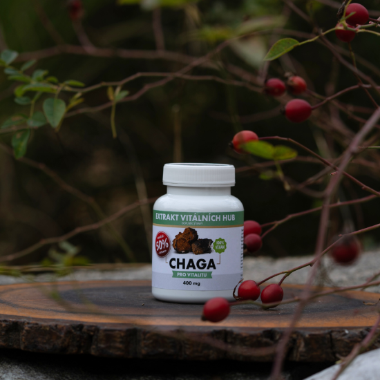Chaga 50% - Rezavec šikmý  min.50% polysacharidů a 20% Beta glukanů