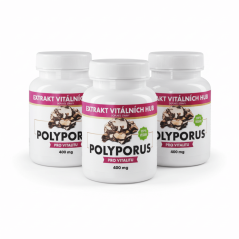 Polyporus - Choroš oříš 360 kapslí 2 + 1 ZDARMA