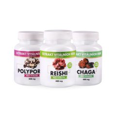 Detoxikace a zdraví močových cest - Polyporus + Reishi + Chaga 2+1 ZDARMA