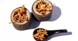 Cordyceps dávkování: praktický průvodce užíváním