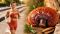 Reishi pro sportovce
