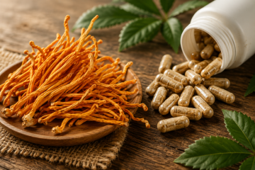 Cordyceps kapsle