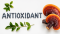 Reishi a antioxidanty: co vědět o lesklokorce