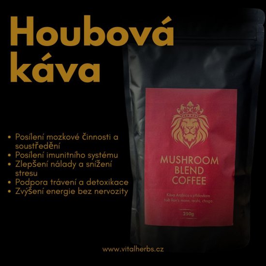 Houbová káva (Káva Arabica, Lví Hříva, Reishi, Chaga) 250 g
