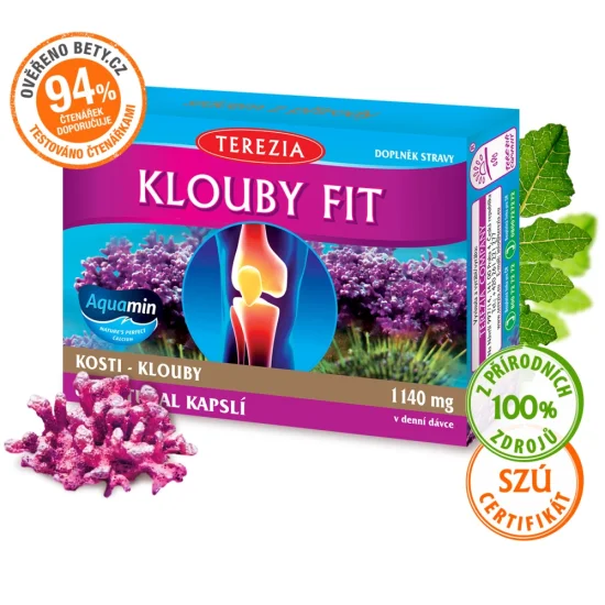 KLOUBY FIT 60 kapslí