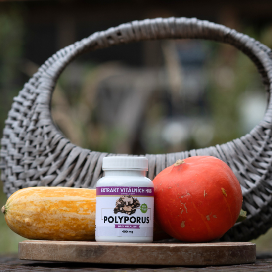 Polyporus - Choroš oříš min.30% polysacharidů
