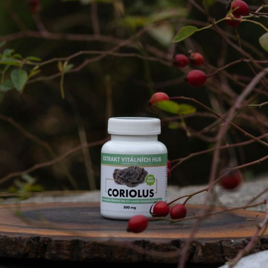 Coriolus - Outkovka pestrá (Coriolus versicolor) min.50% polysacharidů
