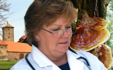 Léčivé houby dobývají Česko: Co umí reishi, chaga nebo lví hříva a jak je můžete jednoduše zařadit do života