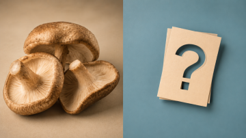 Shiitake FAQ: nejčastější otázky a odpovědi