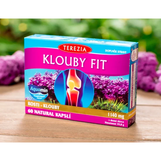 KLOUBY FIT 60 kapslí
