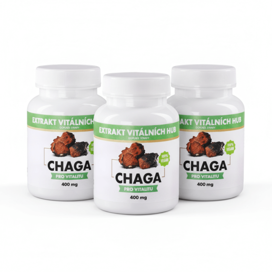 Chaga - Rezavec šikmý 360 kapslí 2 + 1 ZDARMA