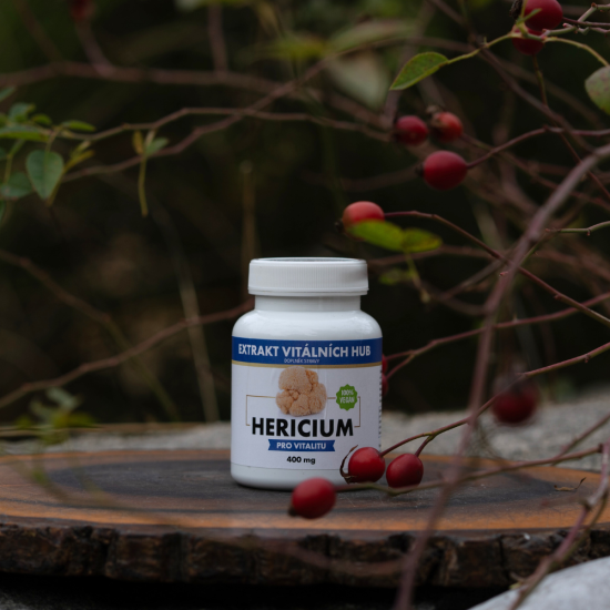 Hericium, Lví hříva min.30% polysacharidů
