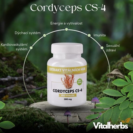 Cordyceps CS-4 - Housenice čínská 40% polysacharidů