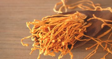 Jak užívat cordyceps