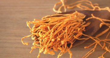 Cordyceps pro imunitu: praktický průvodce výběrem
