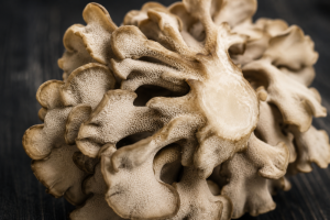 Maitake zkušenosti