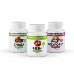 Detoxikace a zdraví močových cest - Polyporus + Reishi + Chaga 2+1 ZDARMA