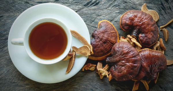 Reishi a každodenní stres