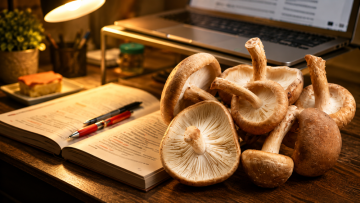 Shiitake studie: co říká výzkum o houževnatci jedlém