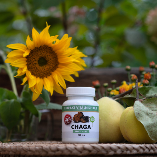 Chaga 50% - Rezavec šikmý  min.50% polysacharidů a 20% Beta glukanů