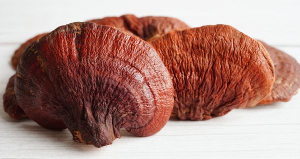 Kdy užívat reishi: praktický průvodce načasováním