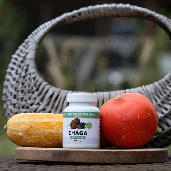 Chaga - Rezavec šikmý min.30% polysacharidů a 4% triterpenů