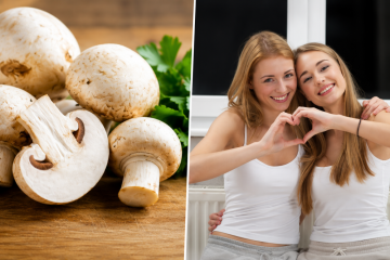 Nejlepší houby na vitalitu: jak vybrat a užívat