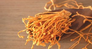 Cordyceps pro imunitu: praktický průvodce výběrem