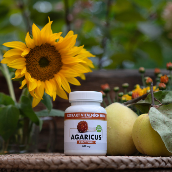 Agaricus  - Žampion mandlový min.30% polysacharidů