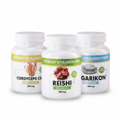Dýchací cesty a podpora při virózách - Agarikon + Reishi + Cordyceps 2+1 ZDARMA